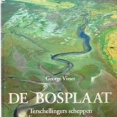 De Boschplaat